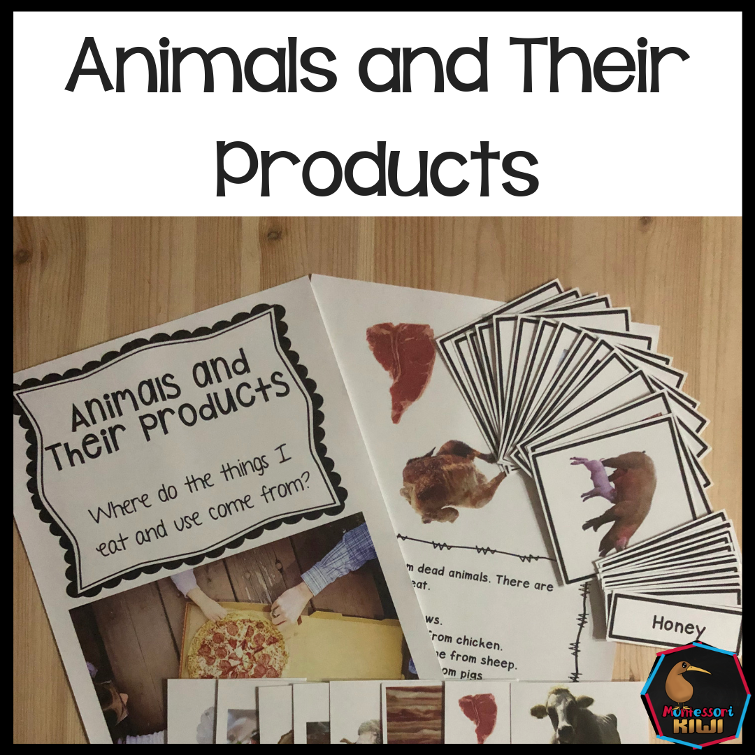 Animals and their products (food products and uses) - montessorikiwi